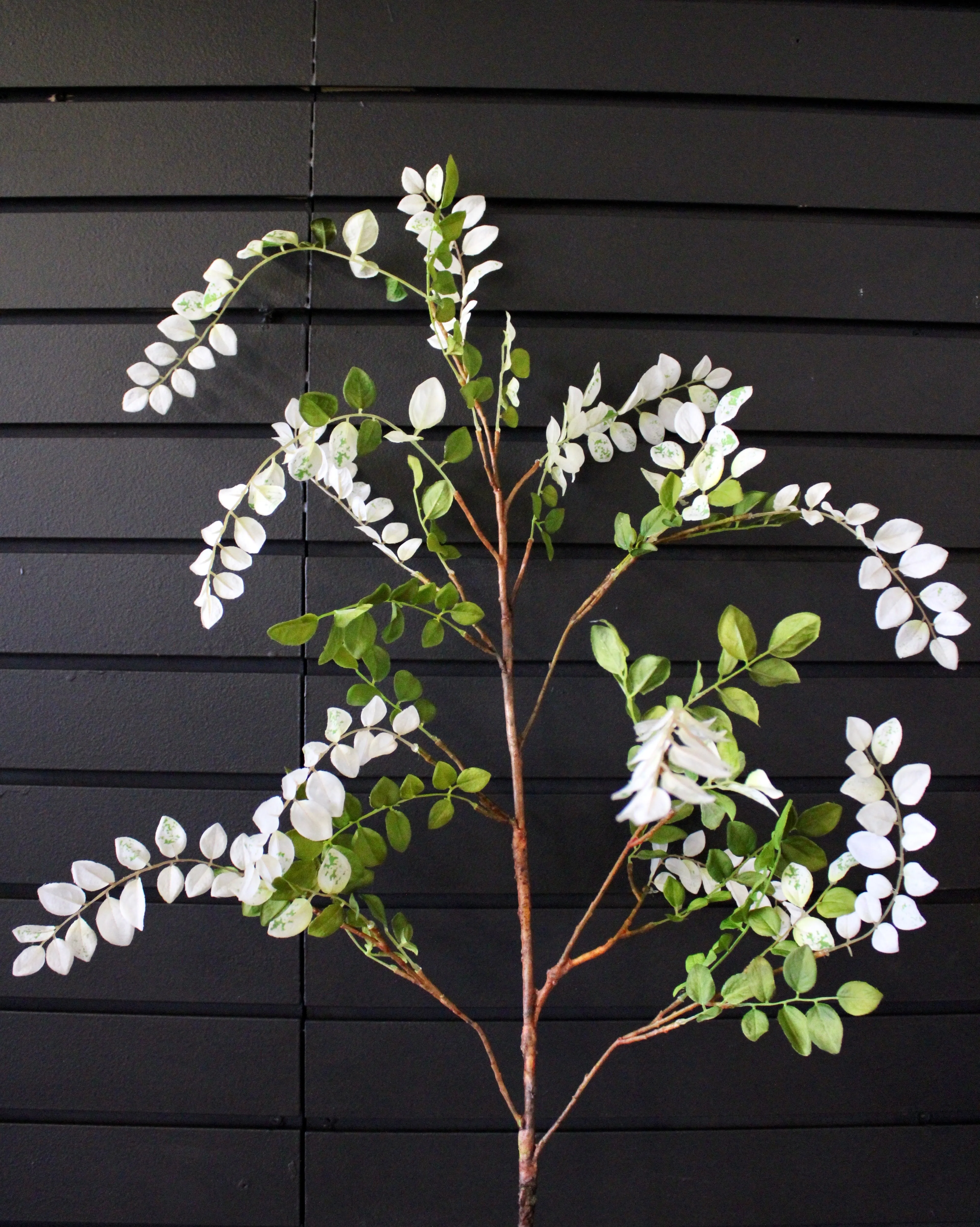 Aspen Spray