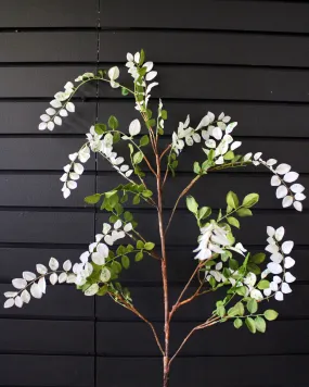 Aspen Spray