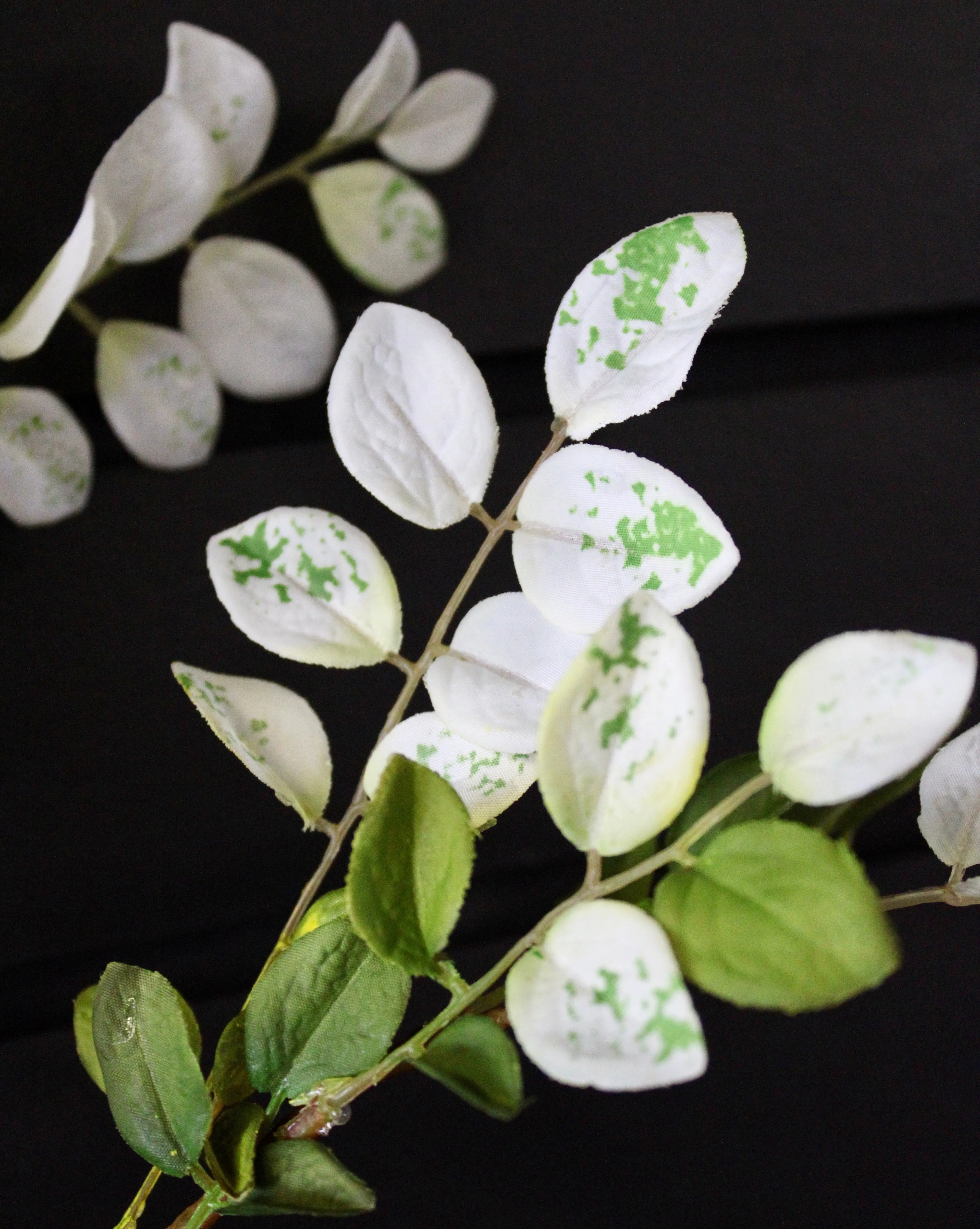 Aspen Spray