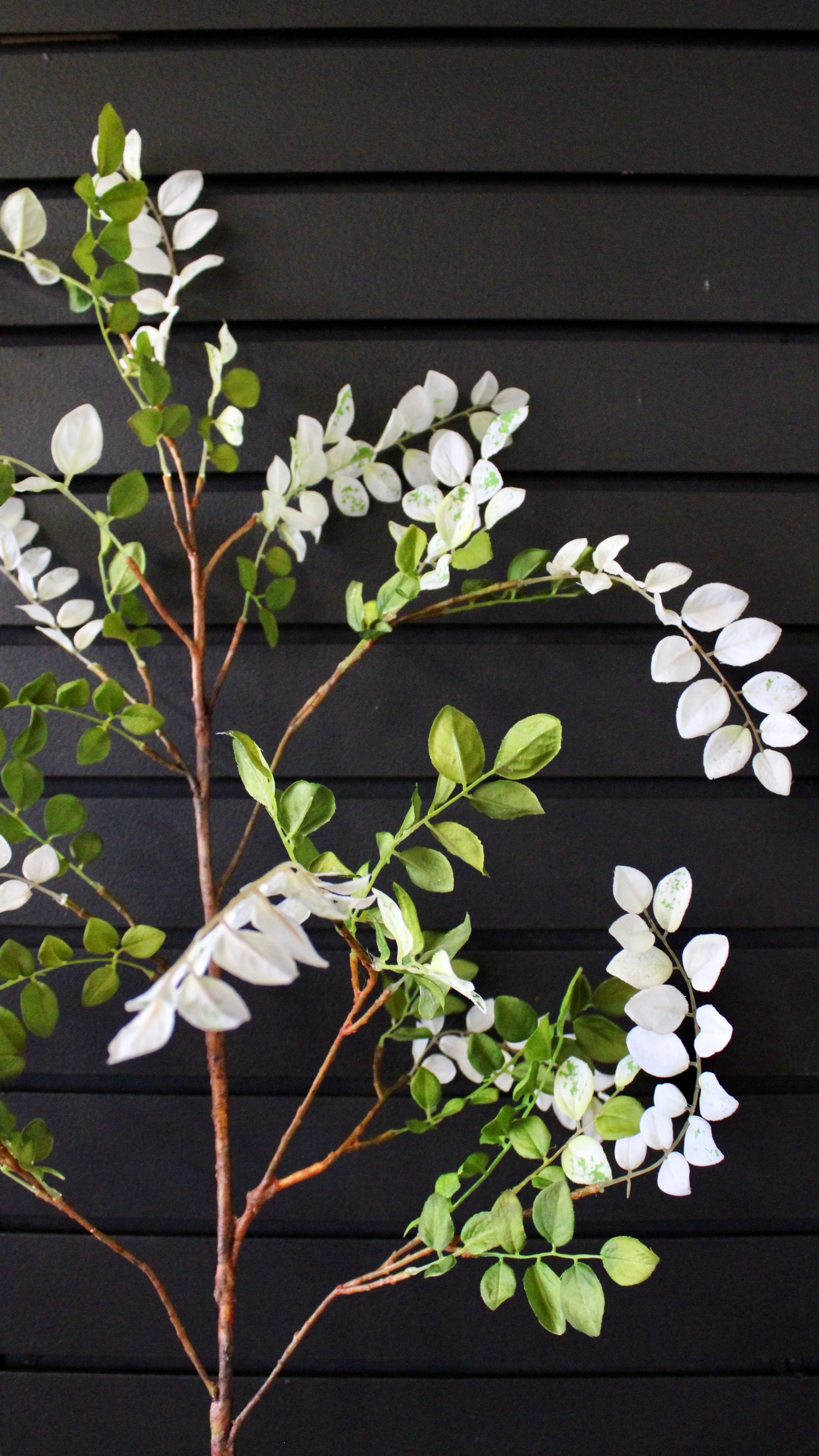 Aspen Spray