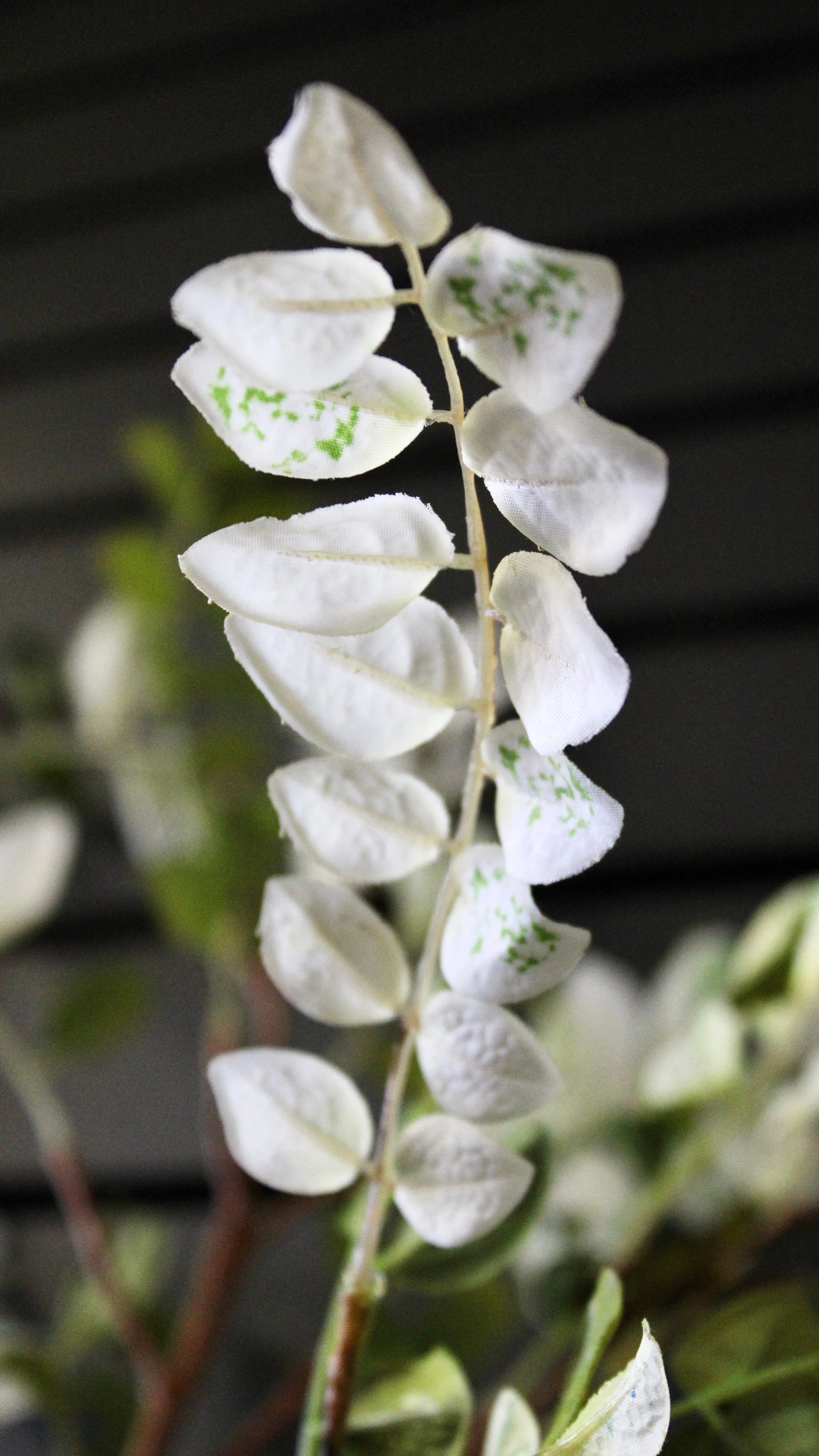 Aspen Spray