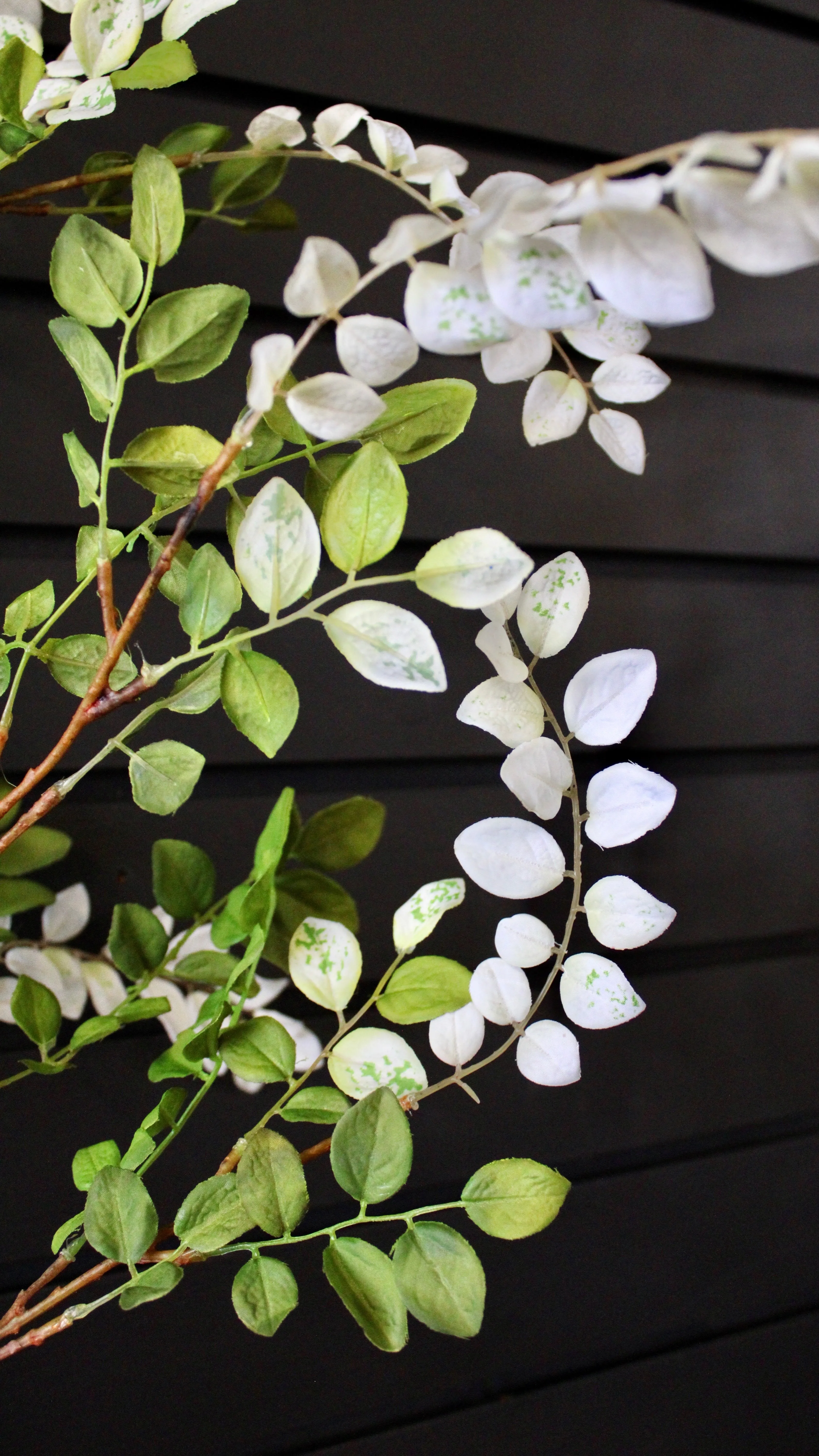 Aspen Spray