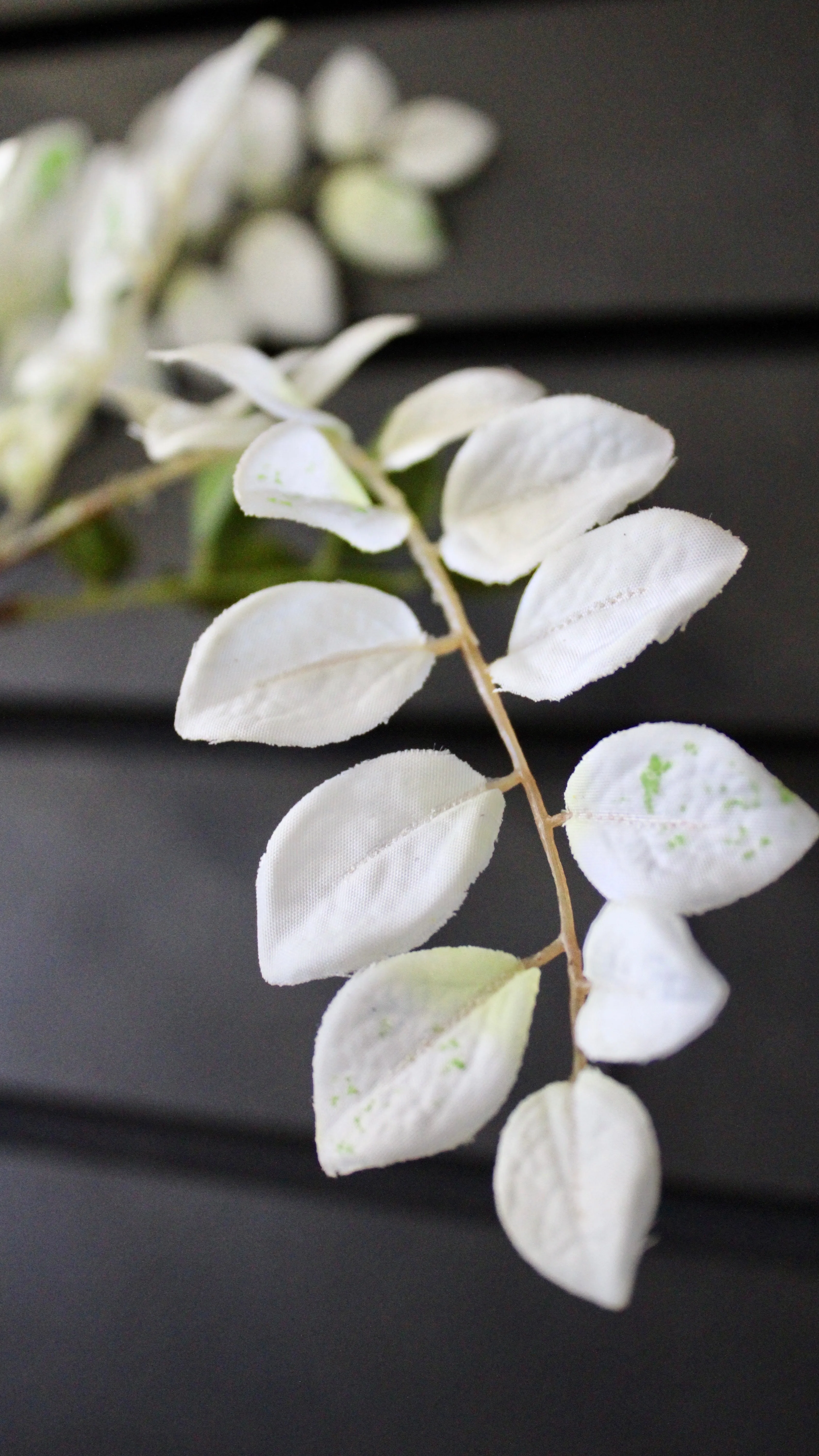 Aspen Spray