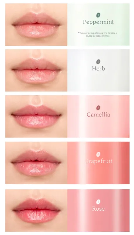 NATURE REPUBLIC Essential Lip Balm Care Treatment